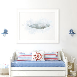 Beluga Whale Wall Art