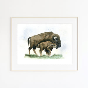 Parent and Baby Bison Print
