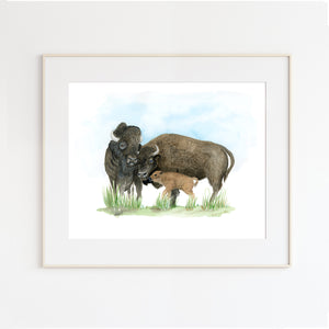 Bison Watercolor Print