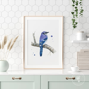 Blue Jay Home Decor