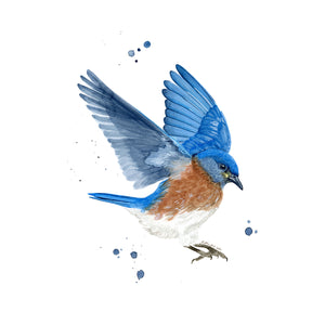 Bluebird Watercolor Print