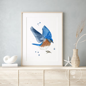 Bluebird Audobon Print