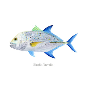 Bluefin Trevally Wall Art