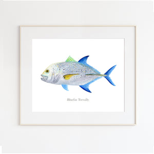 Bluefin Trevally Watercolor Art