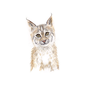 Baby Bobcat Nursery Art