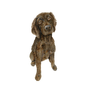 Boykin Spaniel Painting