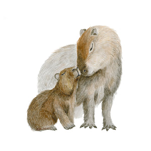 Capybara Watercolor Art
