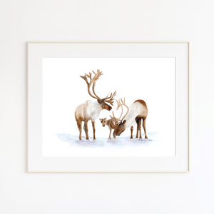 Caribou Family Watercolor Print