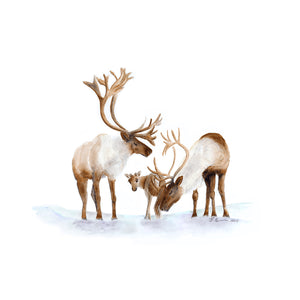 Caribou Nursery Decor