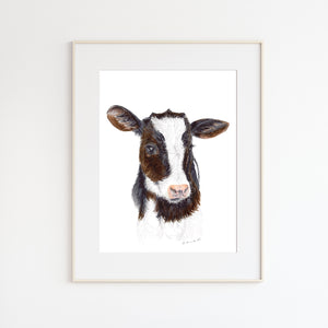 Baby Cow Portrait