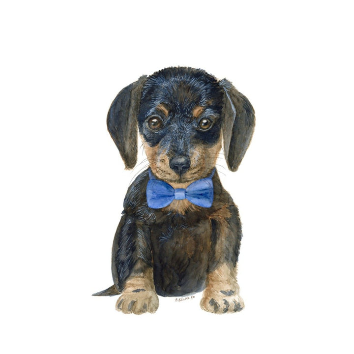 Daschund Puppy in Blue Bowtie Print