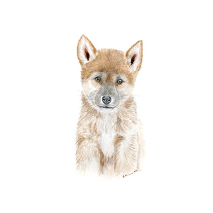Dingo Nursery Decor
