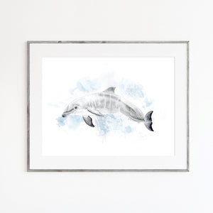 Baby Dolphin Watercolor Print