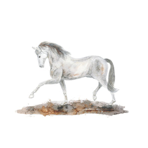 Arabian Horse Dressage Watercolor