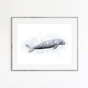 Dugong Watercolor Print