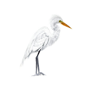 Egret Watercolor Painting