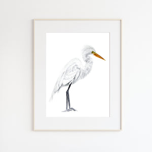 Egret Watercolor Illustration