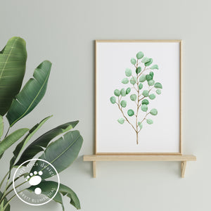 Eucalyptus Kitchen Decor