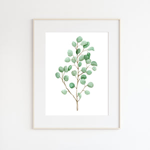 Eucalyptus Watercolor Art