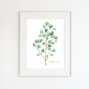 Eucalyptus Stem Watercolor Print
