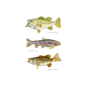 Fish Watercolor Poster