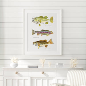 Fishing Decor