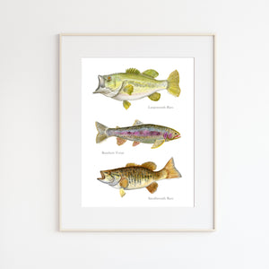 Fish Watercolor Print