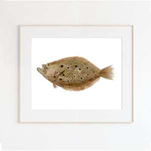 Flounder Wall Art