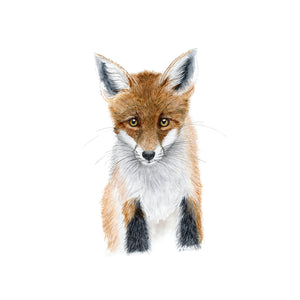 Baby Fox Nursery Print