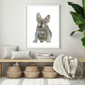 French Bulldog Pup Wall Art