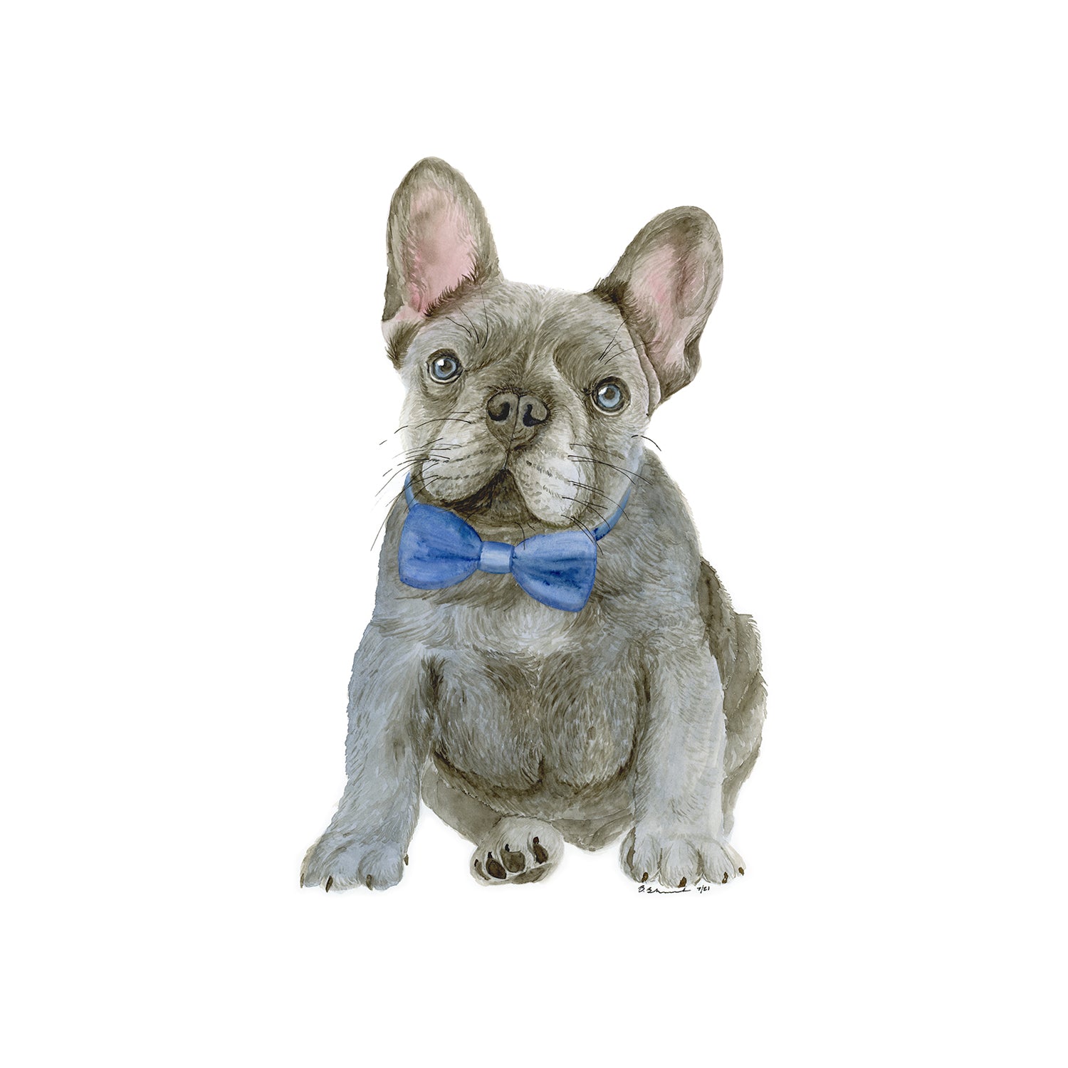 Safari French Bulldog Toy