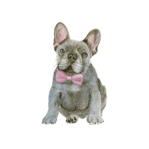 Frenchie in Pink Bowtie Watercolor
