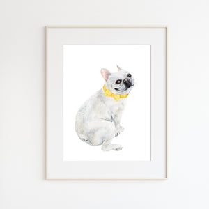 French Bulldog Watercolor Portrait
