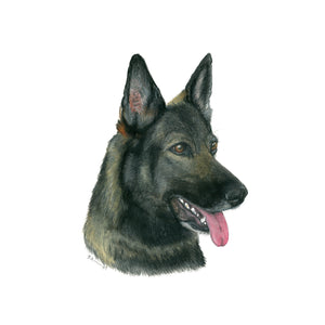 Police Dog Portrait