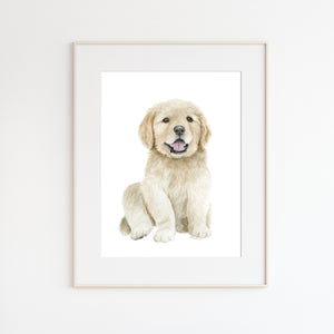 Golden Retriever Puppy Print