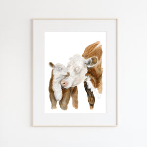 Hereford Cows Watercolor Print