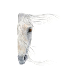 White Horse Watercolor Art
