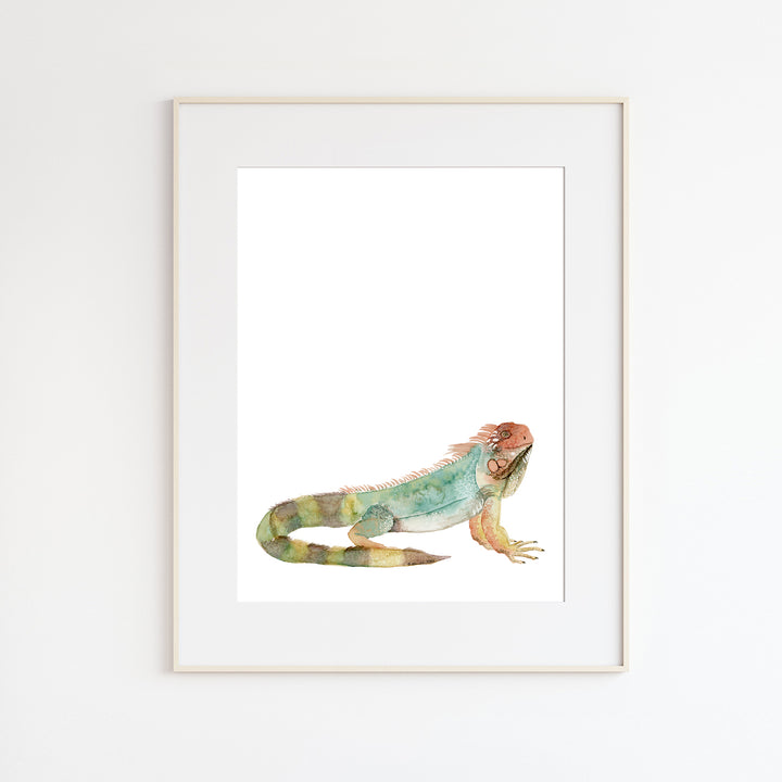 Iguana Watercolor