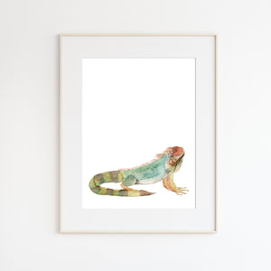 Iguana Watercolor