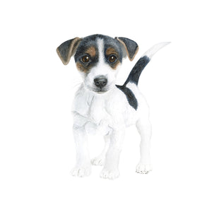 Jack Russell Terrier Puppy Watercolor
