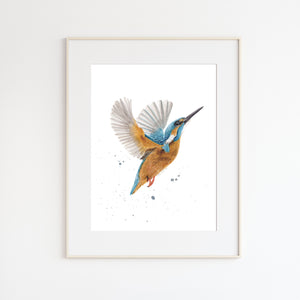 Kingfisher Watercolor Print
