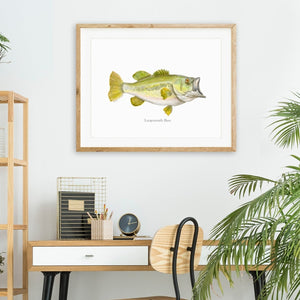 Largemouth Bass Watercolor