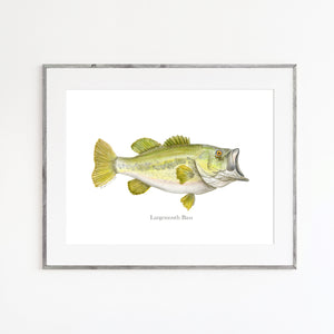 Largemouth Bass Watercolor Print