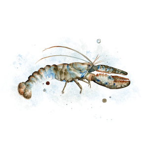 Lobster Watercolor Art