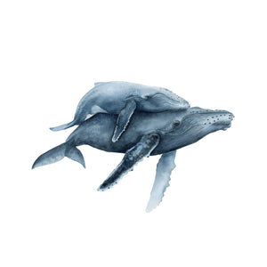 Humpback Whales Watercolor Print