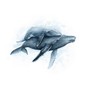 Humpback Whales Watercolor