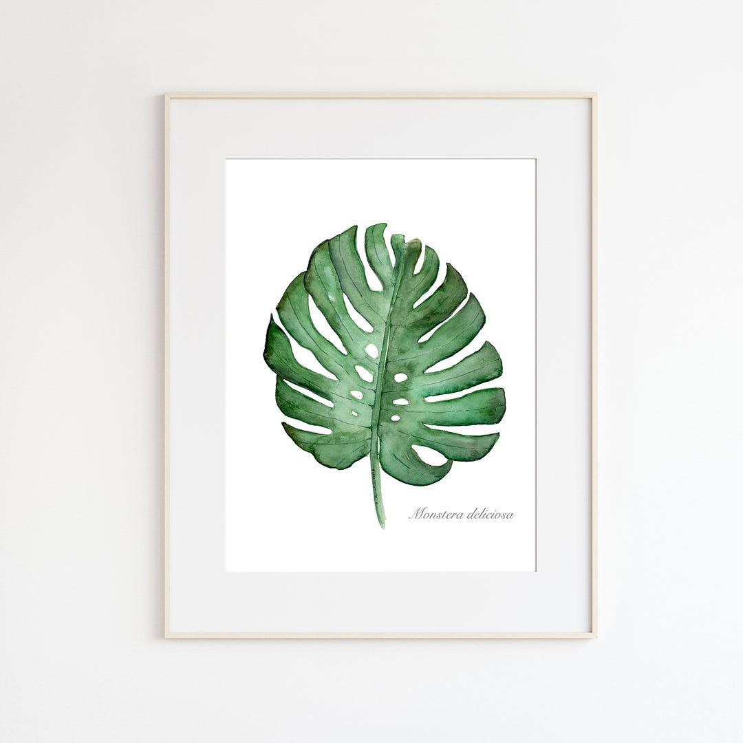 monstera deliciosa botanical print Tropical Botanical Wall Art | Monstera Leaf Print