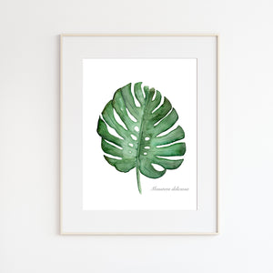 Monstera Palm Leaf Botanical Print