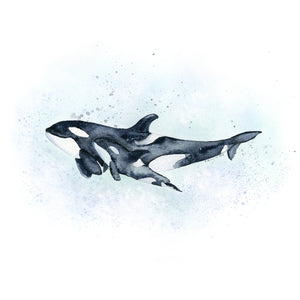 Killer Whale Mom and Calf Watercolor Painting