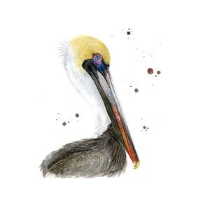 Brown Pelican Print